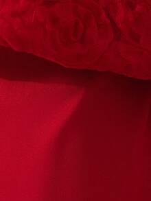 Baby Girl Elegant Cute Mesh Red 3D Rose Dress - Red - View 7