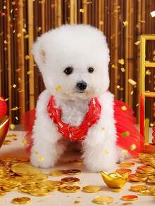 PETSIN 1件猫/狗服装，秋冬加厚红色节日新年服装，宠物公主风连衣裙