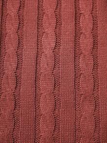 Claim Dot 男士V领扭结针织休闲背心，秋冬款 - 紅木色 - 查看 7