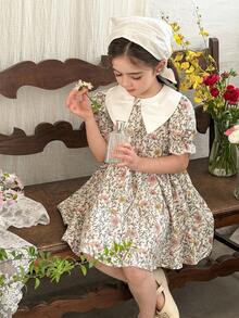 LMoss Kids LMoss A 小碎花洋裝配彼得潘領，適合年輕女孩，休閒時尚，適用於春夏季 - 彩色 - 查看 5