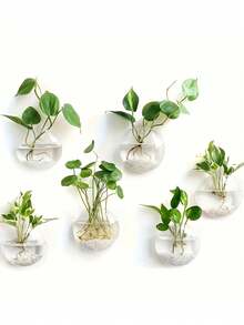1 chiếc, Bình thủy tinh, Chậu hoa, Bình cắm hoa, Giá treo tường để ươm cây thủy canh, Chai thủy tinh dày dặn dùng trong trồng cây thủy canh, Cửa sổ quan sát rễ, Trang trí bàn làm việc trong nhà và ngoài trời, văn phòng. - Trong sáng - Xem 7