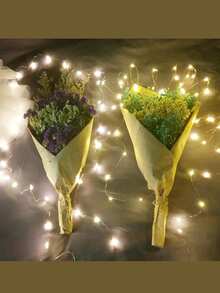20米/200颗LED灯串，电池供电铜线灯串，适用于礼品、装饰、卧室、圣诞节、派对、婚礼、花束、花园，3米/5米/10米/15米/20米（不含电池） - 暖白色 - 查看 7
