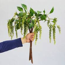1/2/3件装人造绿植枝条，带浆果，仿真蕨类植物，适用于DIY花墙、场景布置、客厅卧室花瓶插花、婚礼、派对、家居装饰、桌面装饰。秋冬季落叶，家居装饰、桌面装饰、农舍装饰、户外防紫外线仿真花，适用于悬挂式花园、门廊、窗台、户外装饰。 - 綠色 - 查看 3