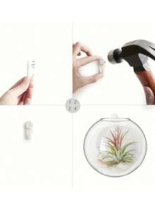 1 chiếc, Bình thủy tinh, Chậu hoa, Bình cắm hoa, Giá treo tường để ươm cây thủy canh, Chai thủy tinh dày dặn dùng trong trồng cây thủy canh, Cửa sổ quan sát rễ, Trang trí bàn làm việc trong nhà và ngoài trời, văn phòng. - Trong sáng - Xem 6