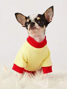 PETSIN 1件红色樱桃字母印花宠物黄色拼接黑色休闲风格秋冬加厚保暖宠物服装 - 彩色 - 查看 6