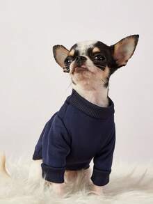 PETSIN 1件豹纹纽约字母印花宠物黑色休闲风秋冬加厚保暖宠物服装 - 黑色 - 查看 9