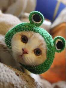 1pc Hand Knitting Design Knitted Pet Hat,Cute Cartoon Cat Cap - Delicate Pet Headgear For Small Dogs And Cats - color - View 10