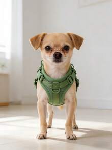 1件装可调节PVC狗狗胸背带，防拉扯防逃脱反光小型犬牵引绳套装，军绿色宠物遛狗训练装备，户外探险 - 綠色 - 查看 4