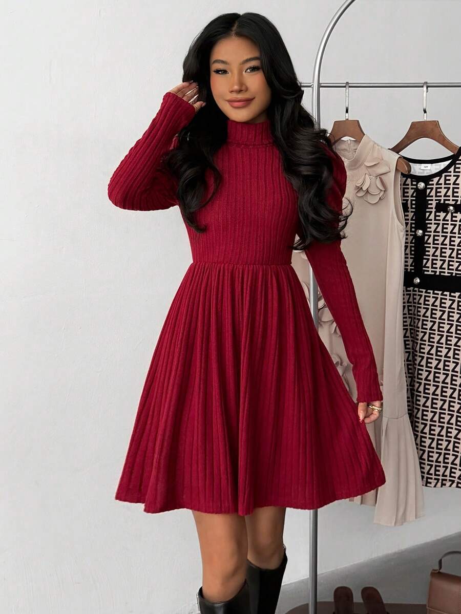 SHEIN Teen Girls High Neck Long Sleeve Ribbed Fitted A-Line Knit Dress, Wine Red, Autumn/Winter, Elegant Occasion Wear - Red - View 1