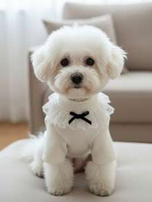 PETSIN Autumn And Winter Bottoming Knit Sweaters, Cute Princess-Style Pet Clothing, Winter Warm Dog Clothes, Autumn And Winter Bottoming Knit Sweaters (Suitable For Bichon Frise, Pomeranian, Teddy Dogs), Sweet Two-Legged Tops For Both Cats And Dogs, Fashionable Basic Bottoming Sets For Small Dogs - White - View 5