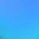 彩色