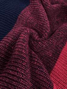 SHEIN LUNE Plus Size Color Block V-Neck Casual Pullover Sweater In Fall/Winter - Royal Blue - View 7