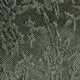 اخضر زيتون