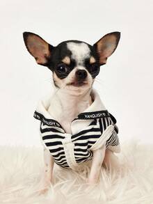 PETSIN Autumn And Winter New Pet Dog And Cat Puppy Clothing, Three-Dimensional Panda-Style Thick Cardigan Jacket Suitable For Leash Use. - Black - View 8