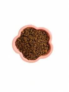 PETSIN 1个花卉图案陶瓷宠物高脚碗 - 符合人体工学的猫狗增高食盆，可支撑颈部，防呕吐慢食碗