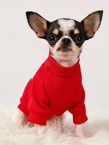 PETSIN 1 Pc Brown Teddy Bear White Letter Printed Pet Red Casual Style Autumn And Winter Thick Warm Pet Clothes - Red - View 4