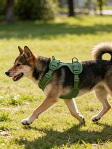 1件装可调节PVC狗狗胸背带，防拉扯防逃脱反光小型犬牵引绳套装，军绿色宠物遛狗训练装备，户外探险 - 綠色 - 查看 5