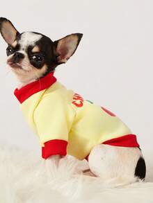 PETSIN 1件红色樱桃字母印花宠物黄色拼接黑色休闲风格秋冬加厚保暖宠物服装 - 彩色 - 查看 3
