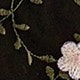 Hồng