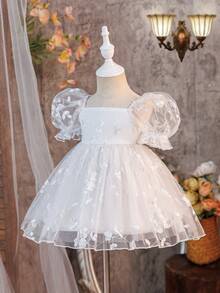 Babygirl Elegant Cute Embroidered Mesh Short Sleeve Princess Dress - White - View 3
