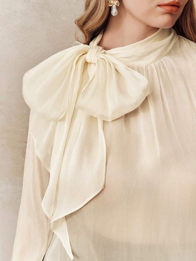 Elegant & Chic Semi-Sheer Tie-Up Women Blouse