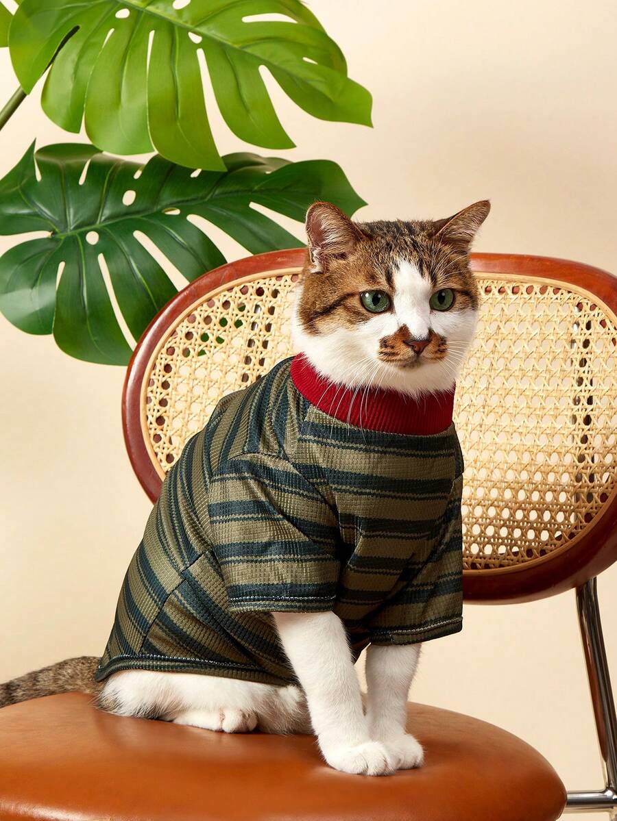 PETSIN 网络红人为宠物猫咪搭配熊、雪纳瑞、泰迪狗等宠物设计的可爱外套，春夏装扮，轻薄透气。 - 墨綠色 - 查看 1