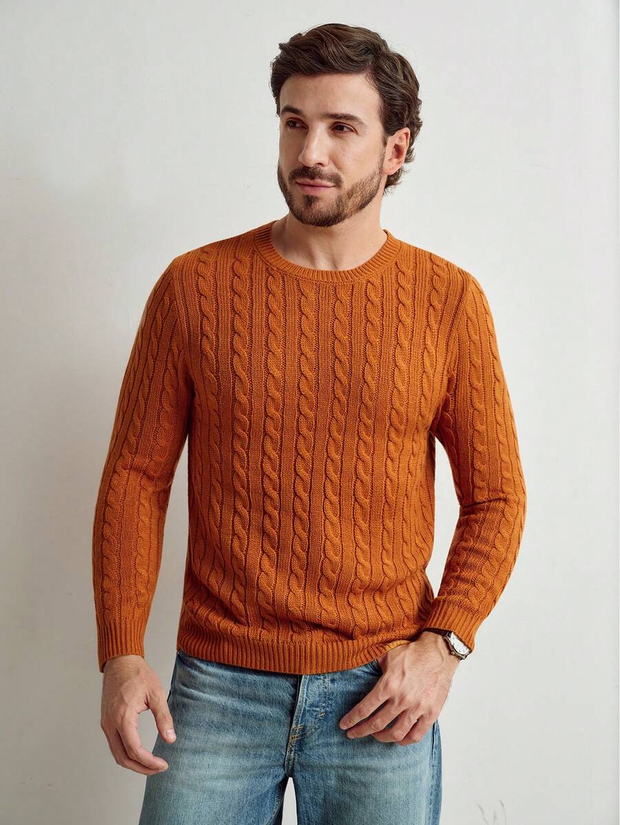Manfinity Homme Men's Casual Cable Knit Pullover Sweater, Autumn/Winter - Brown - View 1