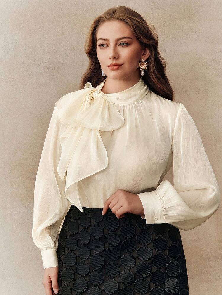 Elegant & Chic Semi-Sheer Tie-Up Women Blouse