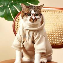 PETSIN 1件宠物猫狗帅气时尚杏色休闲1977反光印花图案舒适保暖狗狗连帽衫 - 杏色 - 查看 8