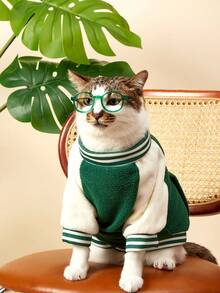 PETSIN 1 Pc Pet Cat Dog Universal Fashion Handsome Green Leisure College Style Baseball Jacket With Velvet Inner Comfortable Pullable Dog Jacket Coat - Green - View 2