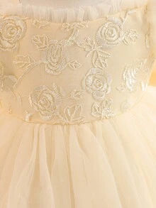 Glamorique Kids 女婴香槟色薄纱缎面玫瑰刺绣短袖连衣裙，优雅公主裙，适合生日、婚礼、派对、度假等场合 - 香檳色 - 查看 6