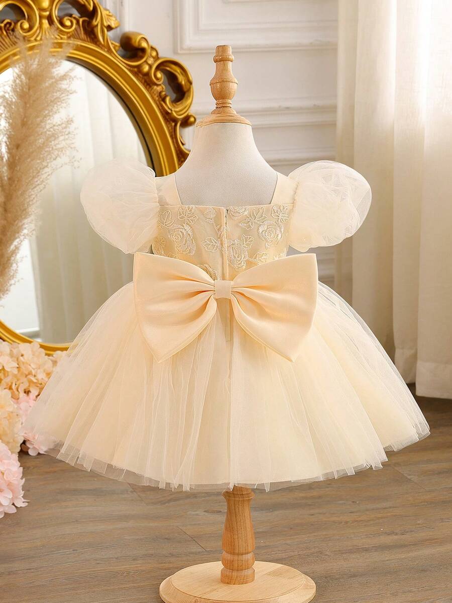 Glamorique Kids 女婴香槟色薄纱缎面玫瑰刺绣短袖连衣裙，优雅公主裙，适合生日、婚礼、派对、度假等场合 - 香檳色 - 查看 1