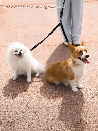 1pc Two Leash, P-Type Rope That Won't Hurt Your Hands, Retractable Pet Leash, Suitable For Small And Large Dogs, Shockproof.