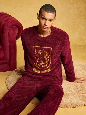 HARRY POTTER X SHEIN Men's Logo Embroidered Crew Neck Long Sleeve Top And Pants Loungewear Set, Fluffy Cozy Winter Clothes