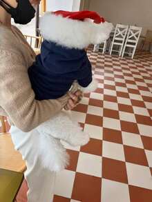 1PC Thermal Lined Faux Fur Hoodie Sweatshirt Warm Cozy Pet Outfits For Small Dogs Cats Autumn Winter Clothing Puppy Kitty Apparel Cute Fashion Vest - Multicolor - View 14