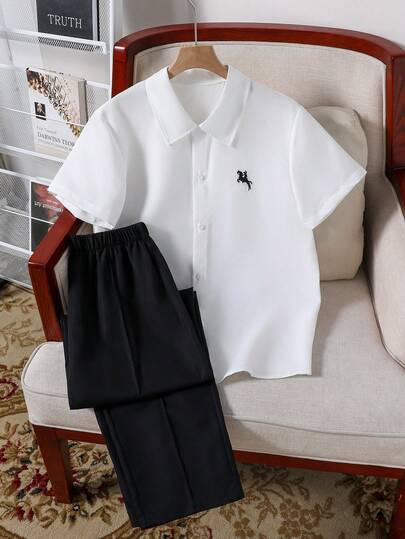 2pcs Set: Embroidered Pony Logo Casual Loose Shirt & Straight Leg Pleated Front Casual Pants