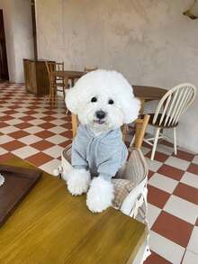 1PC Thermal Lined Faux Fur Hoodie Sweatshirt Warm Cozy Pet Outfits For Small Dogs Cats Autumn Winter Clothing Puppy Kitty Apparel Cute Fashion Vest - Multicolor - View 11