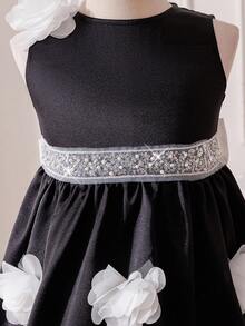 SHEIN Young Girl Black Summer Traditional Wedding Dress,Woven 3D Floral Round Neck Sleeveless Party Dress With White Bow,Tween Formal Princess Flower Girl - Black and White - View 10