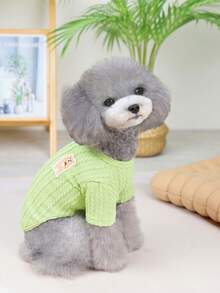 PETSIN 秋冬季宠物绒面背心连帽衫 – 柔软保暖毛衣，带防滑扣，适合犬、猫及小型动物，室内外均可穿着 - 彩色 - 查看 9