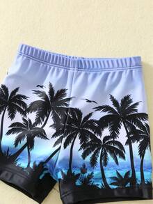 SHEIN 两件套男婴夏季休闲度假泳衣套装，适合夏季海滩、泳池、温泉游泳 - 彩色 - 查看 6