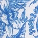 Blue and White