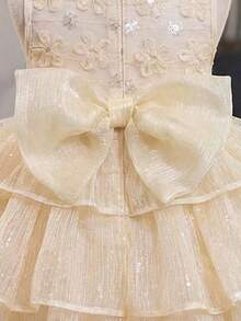 Elegant & Cute Babygirl Mesh Beaded Embroidered Sleeveless Dress/Formal Gown