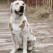 1 Pet Autumn And Winter Large Dog Knitted Sweatshirt Hoodie, Fur Dog Coat