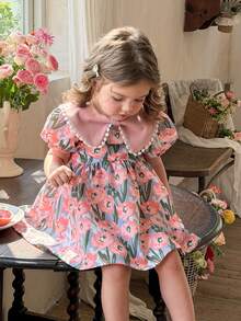 LMoss Kids LMoss Baby Girl Cute Ditsy Floral Ruffle Collar Puff Sleeve Dress,Summer Flower Girl Blue Pink Casual Clothes For Parties,Birthdays&Everyday Life - Multicolor - View 8