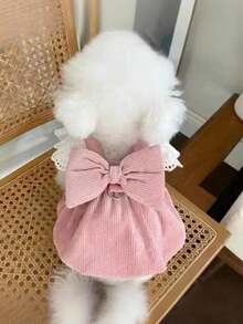 PETSIN 宠物服装：可爱宠物连衣裙，带牵引绳环，秋冬季灯芯绒南瓜裙，适合猫狗，时尚蕾丝袖狗狗服装，适合泰迪犬和比熊犬等小型犬的时尚宠物服装 - 粉色 - 查看 14