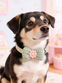 PETSIN 1 宠物花朵项圈 可调节颈围 猫项圈 狗项圈 宠物配件 宠物用品 - 彩色 - 查看 7