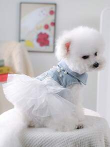 PETSIN PC宠物服装，多款式宠物连衣裙，猫狗通用服装，小型犬时尚酷炫连衣裙 - 彩色 - 查看 8