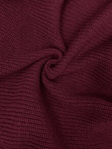 SHEIN EZwear 纯色针织毛衣裤套装，秋冬季休闲装 - 酒紅色 - 查看 6