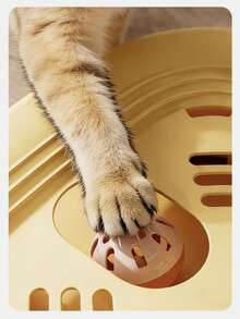 PETSIN 1件装宠物猫玩具迷宫挖掘趣味游乐场宠物益智玩具铃铛羽毛猫棒宠物自娱自乐玩具宠物玩具宠物用品