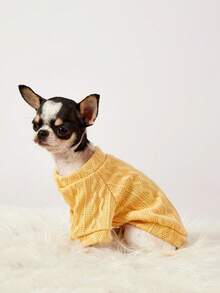 PETSIN 1 Pc Yellow Pet Knitted Sweatshirt For Autumn And Winter, Dry And Warm Pet Clothes - Yellow - View 6